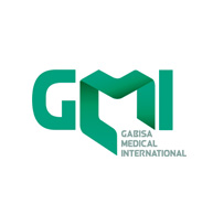 Logo GMI