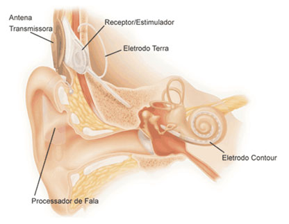 Cirurgia